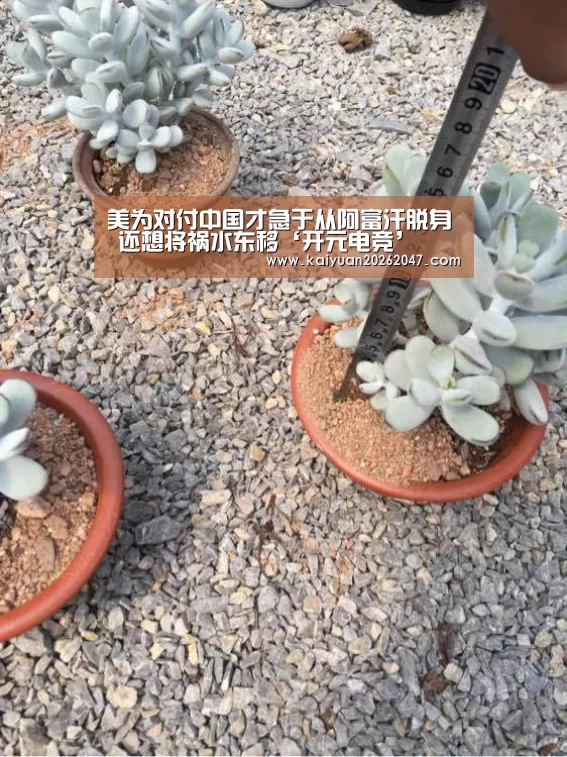 美为对付中国才急于从阿富汗脱身 还想将祸水东移‘开元电竞’(图2) 开元APP