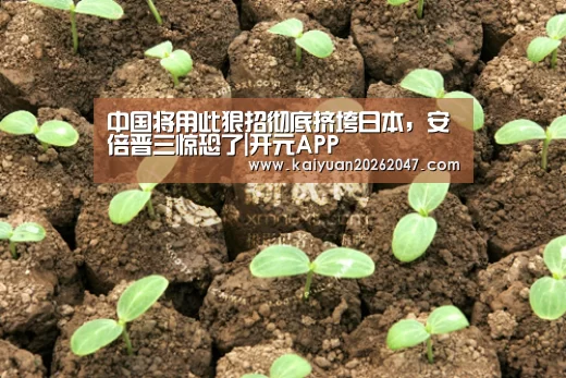 中国将用此狠招彻底挤垮日本,安倍晋三惊恐了|开元APP(图1) 开元娱乐