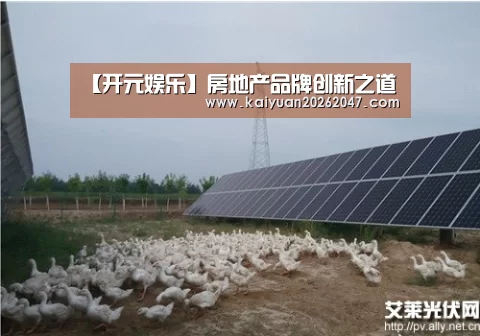 开元娱乐