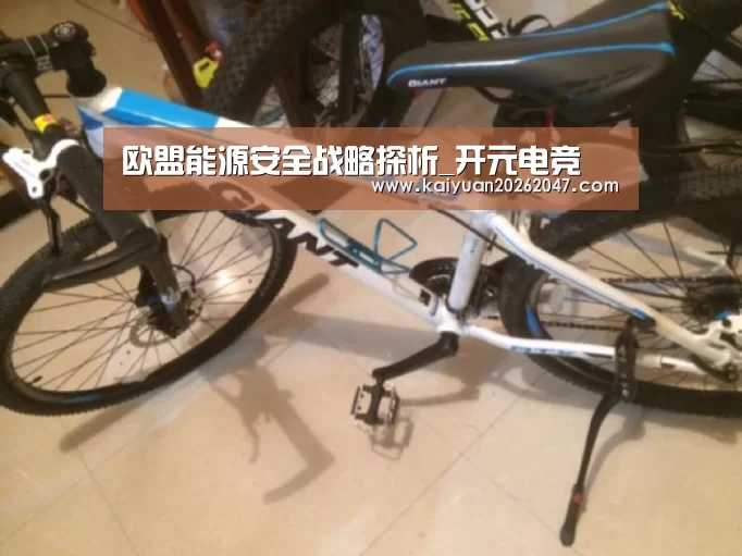 欧盟能源安全战略探析_开元电竞(图2) 开元平台