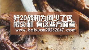 歼20战机为何少了这根尖刺 有这些方面考虑_开元APP(图2) 开元娱乐