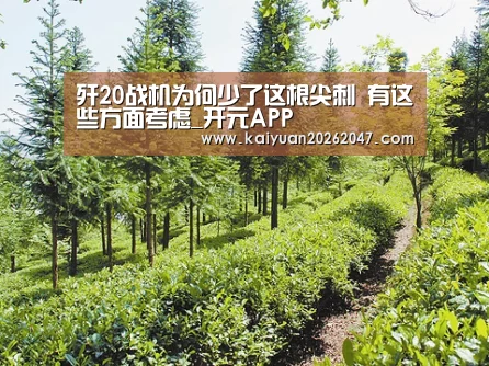 歼20战机为何少了这根尖刺 有这些方面考虑_开元APP(图1) 开元平台