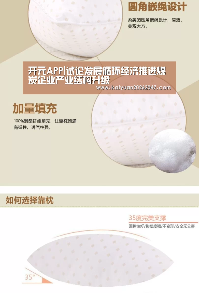 开元APP|试论发展循环经济推进煤炭企业产业结构升级(图1) 开元APP